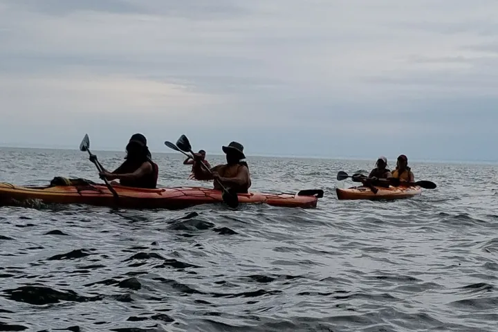 Two groups of people in Tandem kayaks rowing in the water